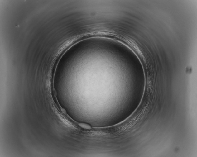 X0000100840389200806271118