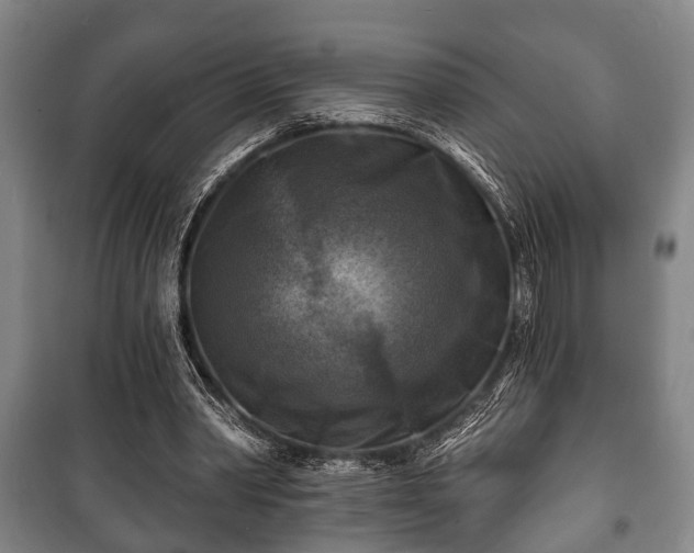 X0000100840390200806271118