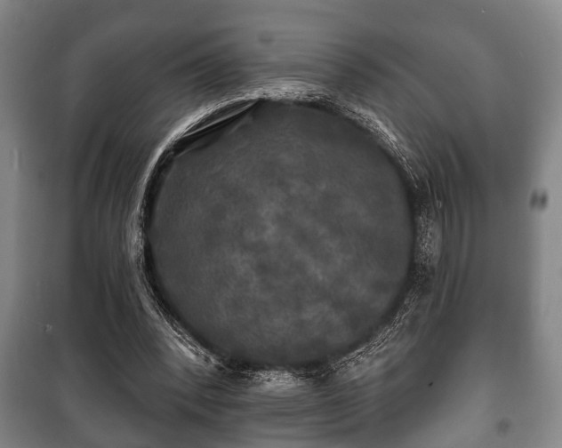 X0000100840392200806271118