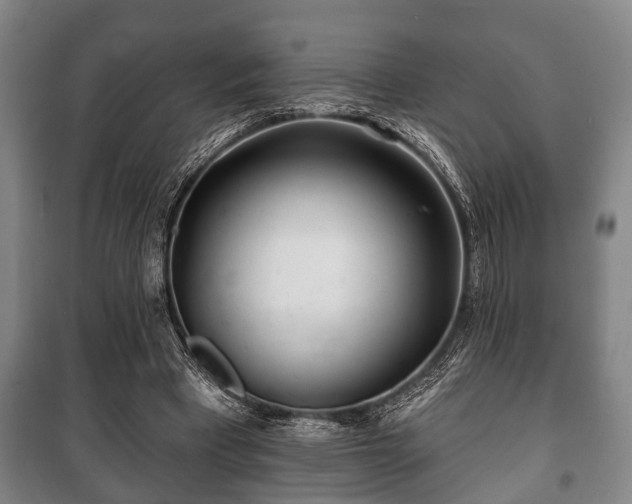 X0000100840393200806271118