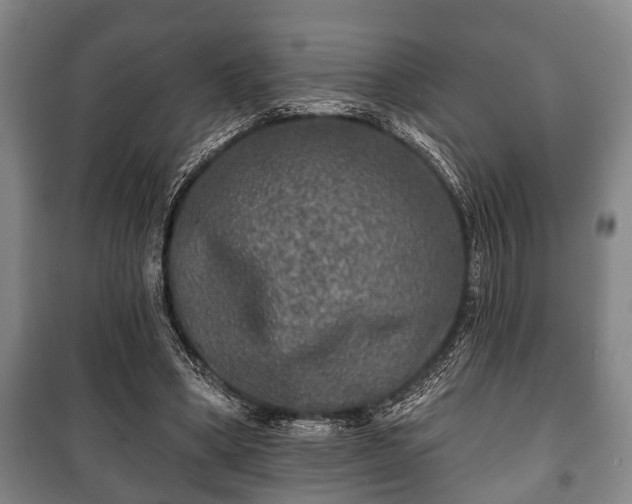 X0000100840394200806271118