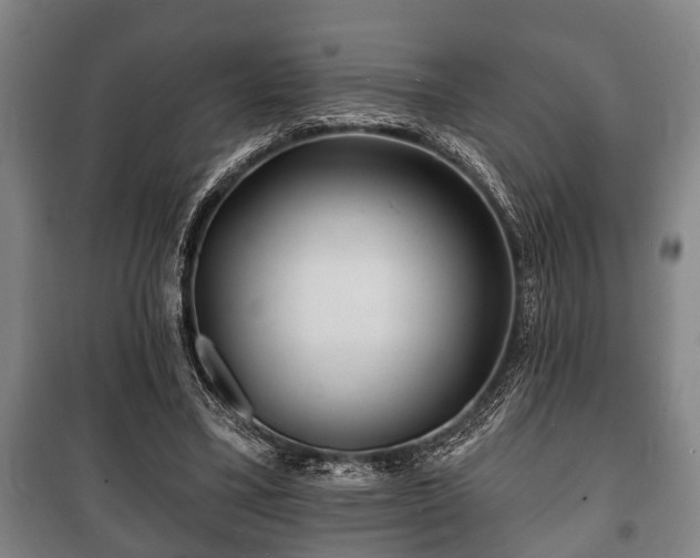 X0000100840395200806271118