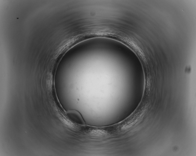 X0000100840397200806271117