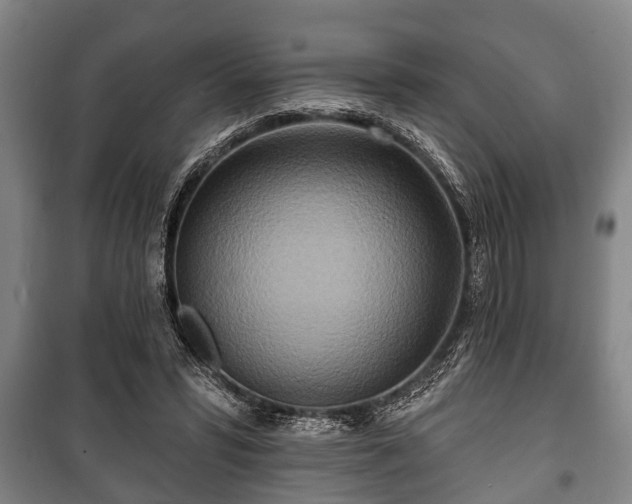 X0000100840399200806271117