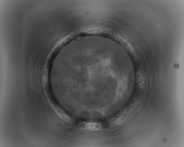 X0000100840400200806271117