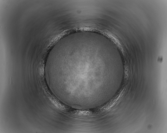 X0000100840401200806271117