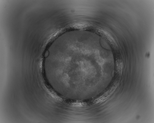 X0000100840404200806271117