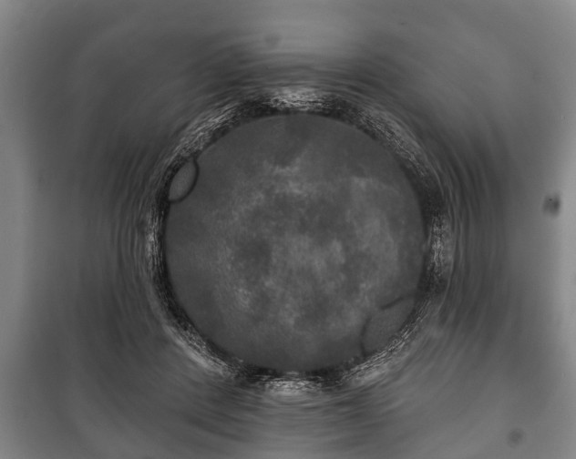 X0000100840408200806271117