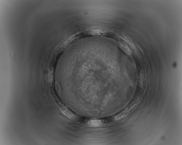 X0000100840413200806271117