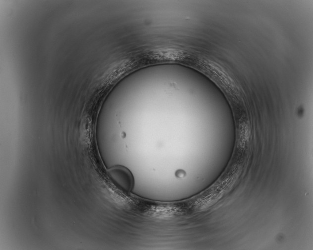 X0000100840414200806271117