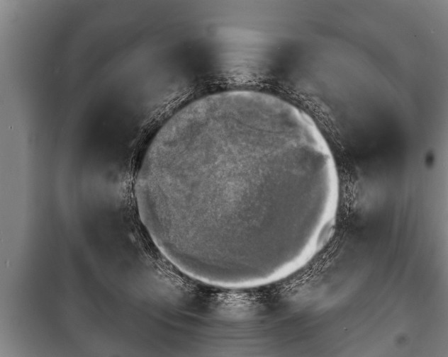 X0000100840419200806271117