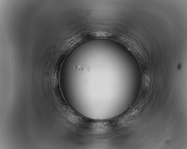 X0000100840422200806271117