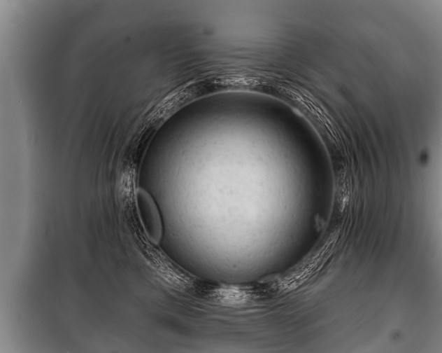 X0000100840425200806271117