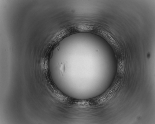 X0000100840426200806271117