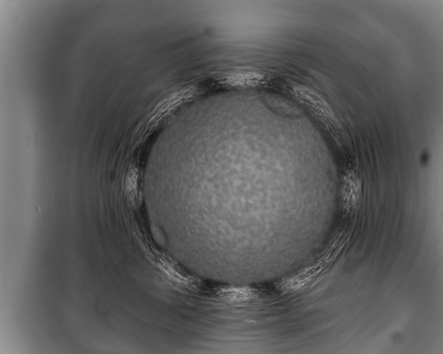 X0000100840428200806271117