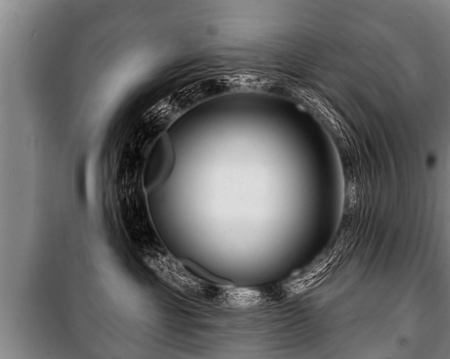 X0000100840429200806271117