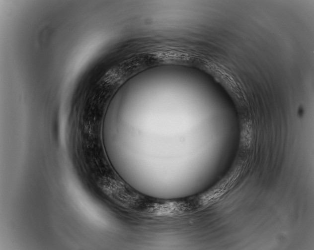 X0000100840430200806271117