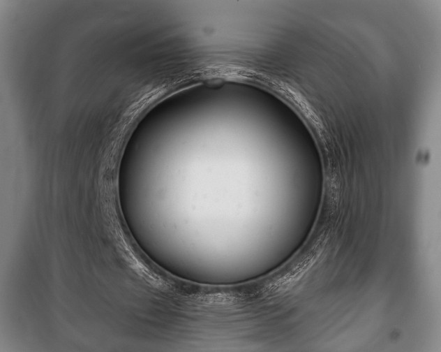 X0000100840433200806271116