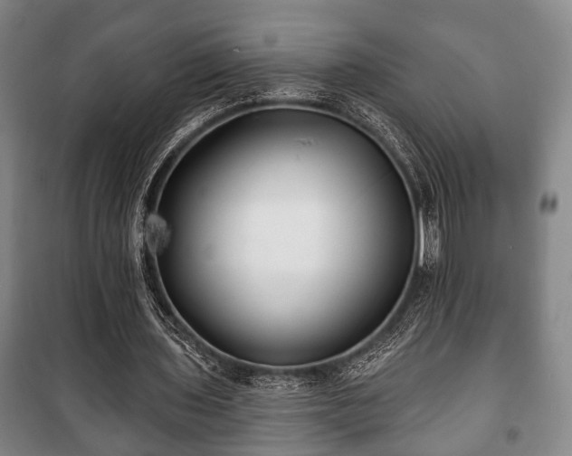 X0000100840435200806271116