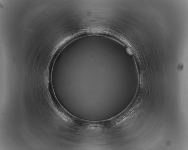 X0000100840438200806271116