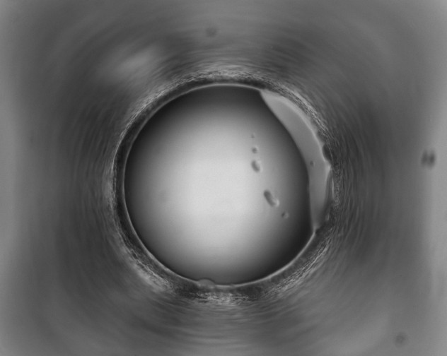 X0000100840439200806271116