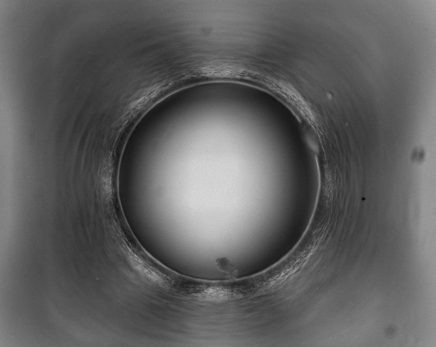 X0000100840441200806271116