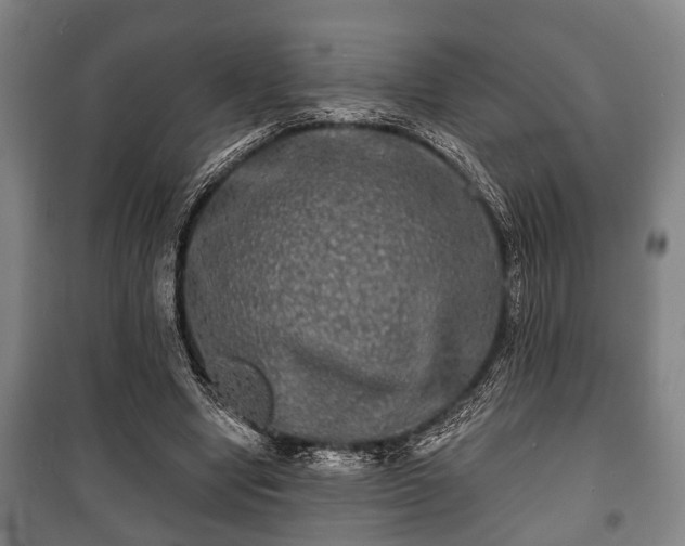 X0000100840442200806271116