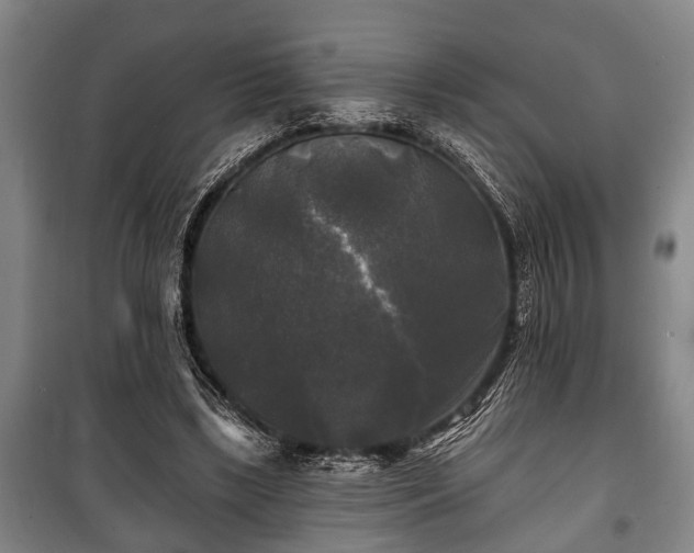 X0000100840443200806271116