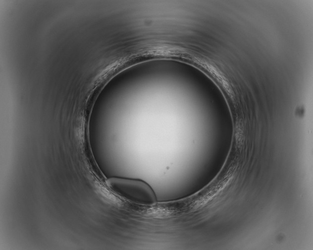 X0000100840445200806271116