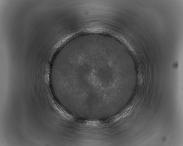 X0000100840446200806271116