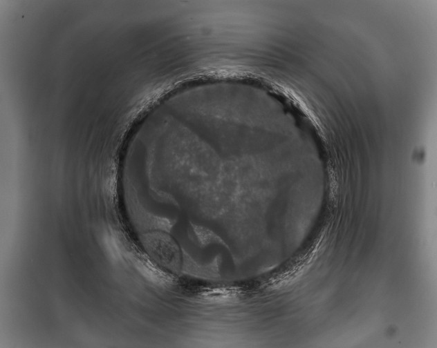 X0000100840447200806271116