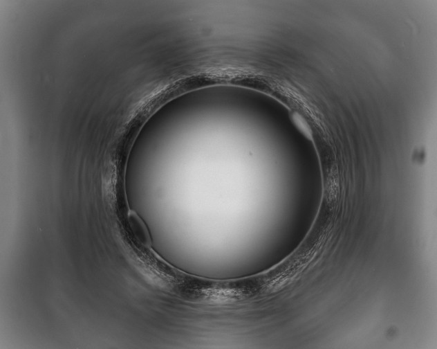 X0000100840448200806271116