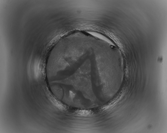 X0000100840449200806271116