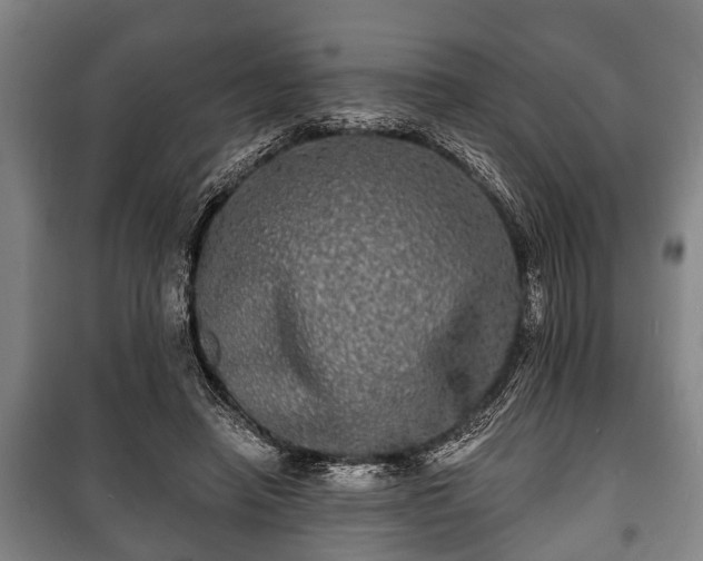 X0000100840450200806271116