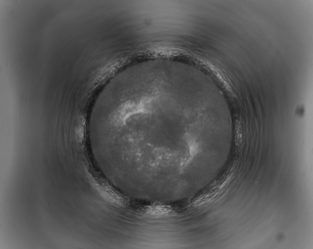 X0000100840451200806271116