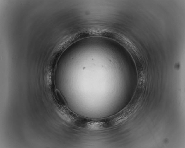 X0000100840452200806271116