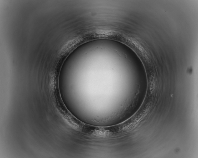 X0000100840455200806271116