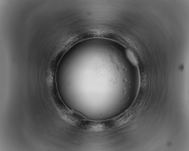 X0000100840456200806271116