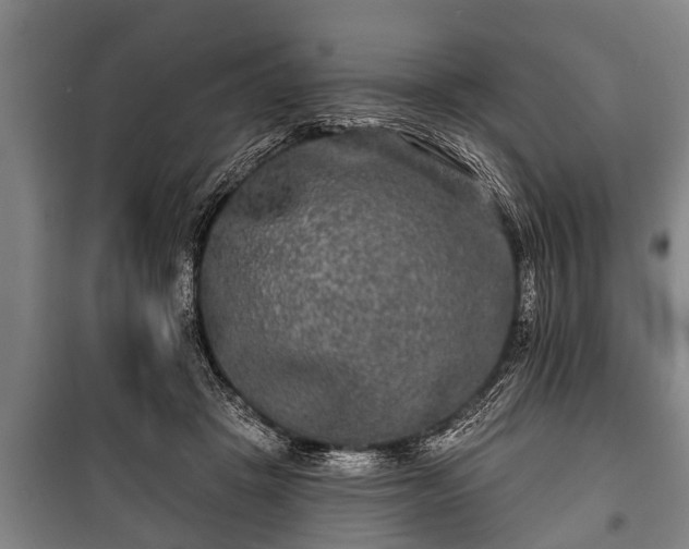 X0000100840457200806271116