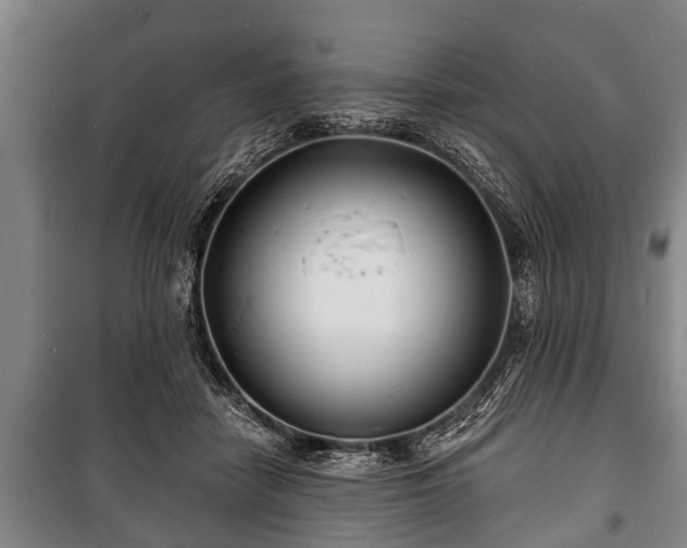 X0000100840458200806271116