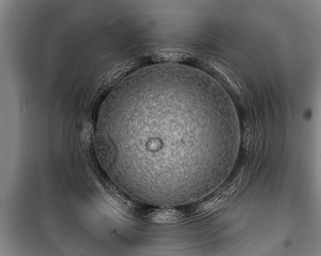 X0000100840459200806271116