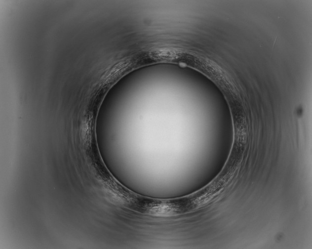 X0000100840460200806271116