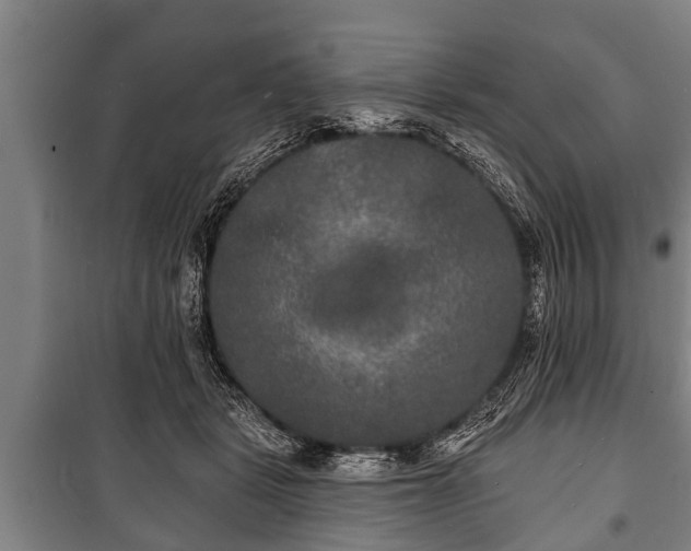 X0000100840461200806271116