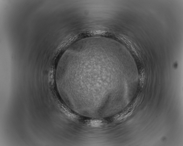 X0000100840462200806271116