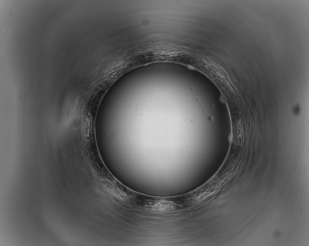 X0000100840463200806271116