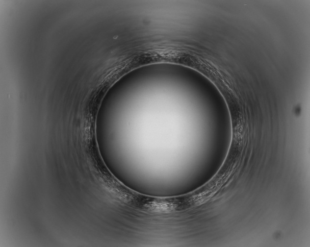 X0000100840464200806271116