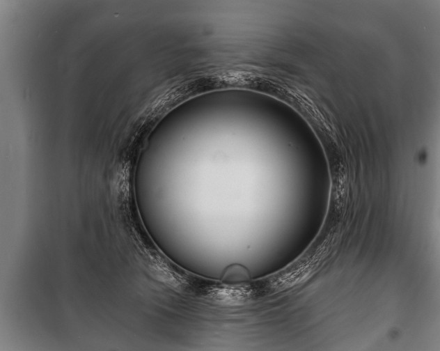 X0000100840466200806271117