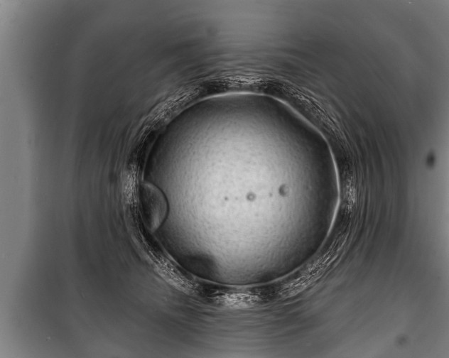 X0000100840468200806271117