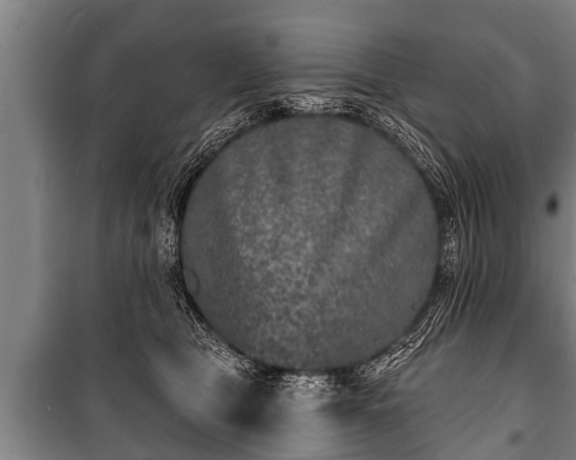 X0000100840469200806271117