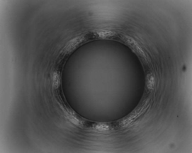 X0000100840471200806271117